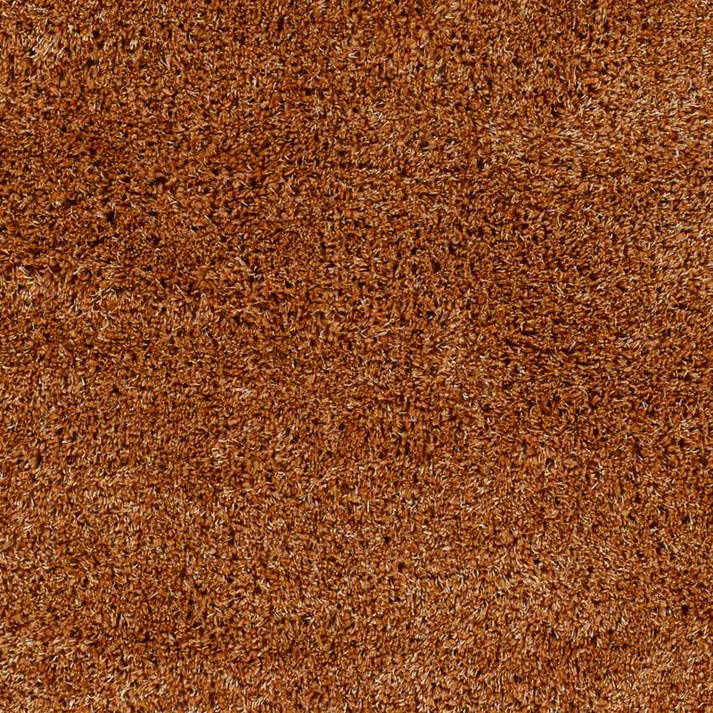 Elk River Modern Burnt Orange Area Rug