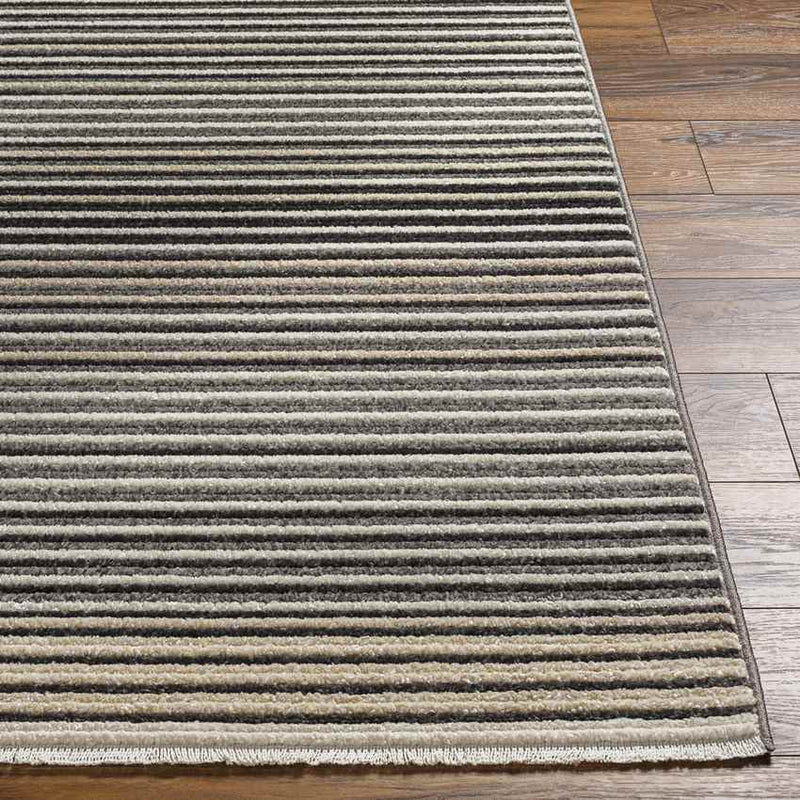 Brandenburg Modern Charcoal Area Rug