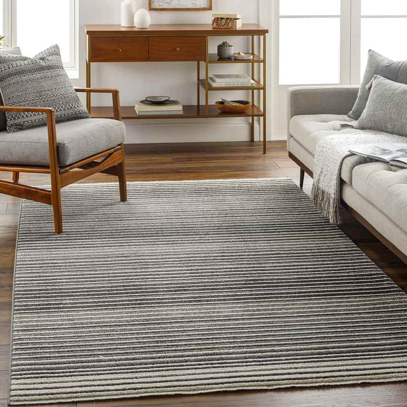 Brandenburg Modern Charcoal Area Rug