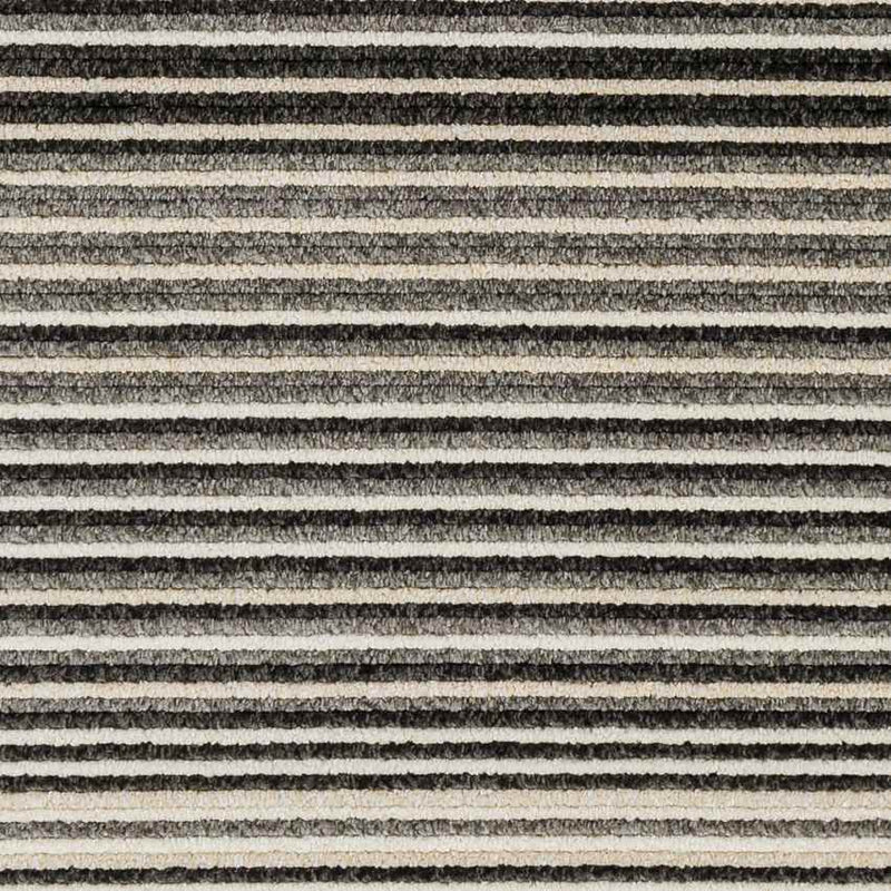 Brandenburg Modern Charcoal Area Rug