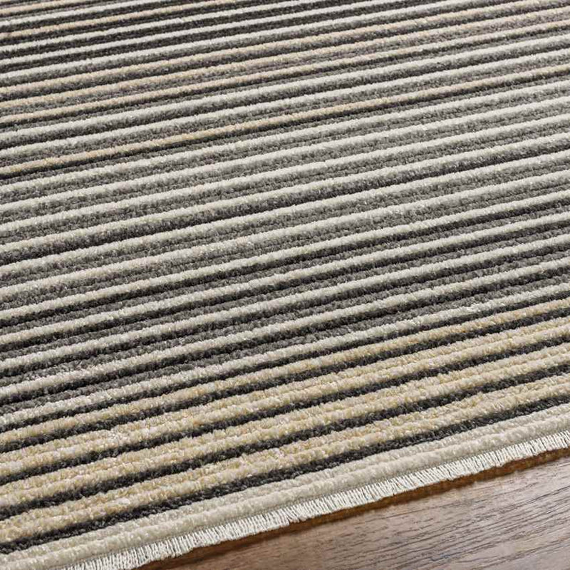 Brandenburg Modern Charcoal Area Rug