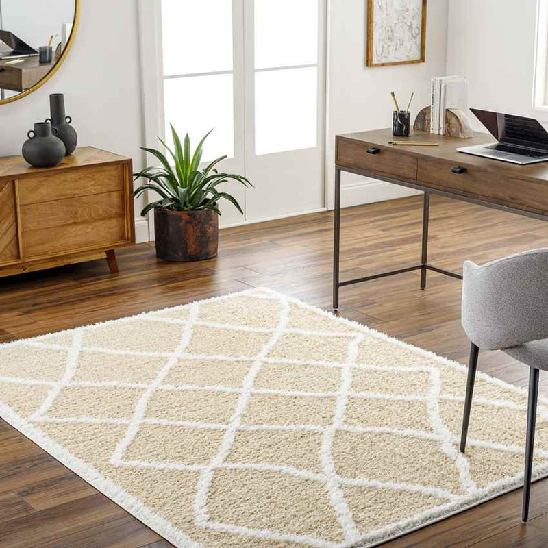 Iowa Lake Modern Coral Area Rug