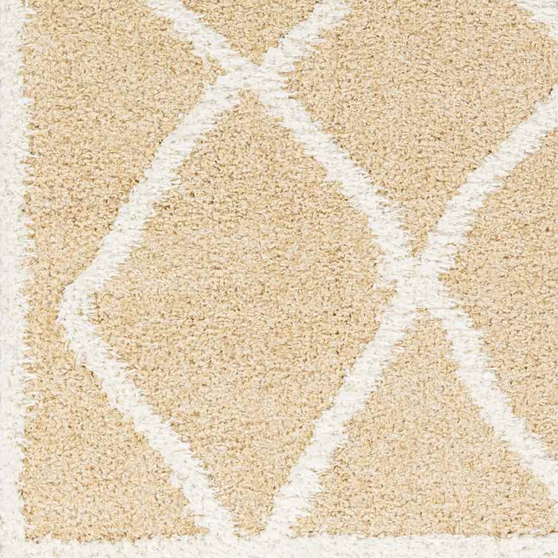 Iowa Lake Modern Coral Area Rug