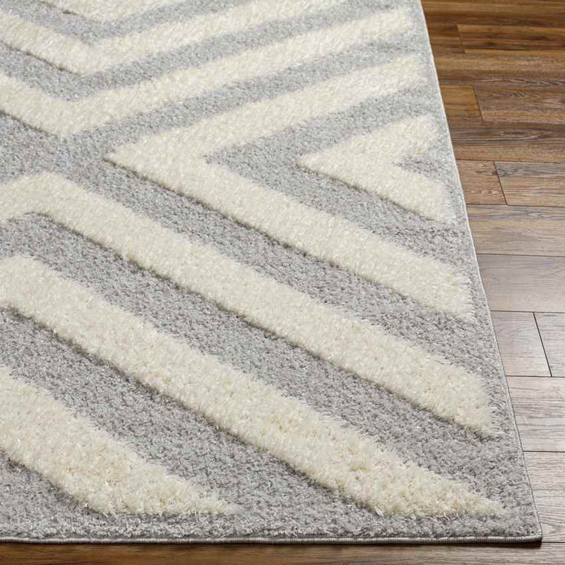 Kensington Modern Gray Area Rug