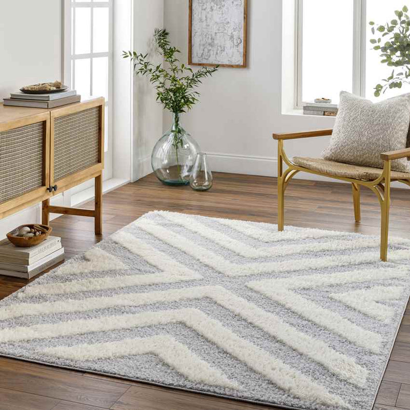 Kensington Modern Gray Area Rug