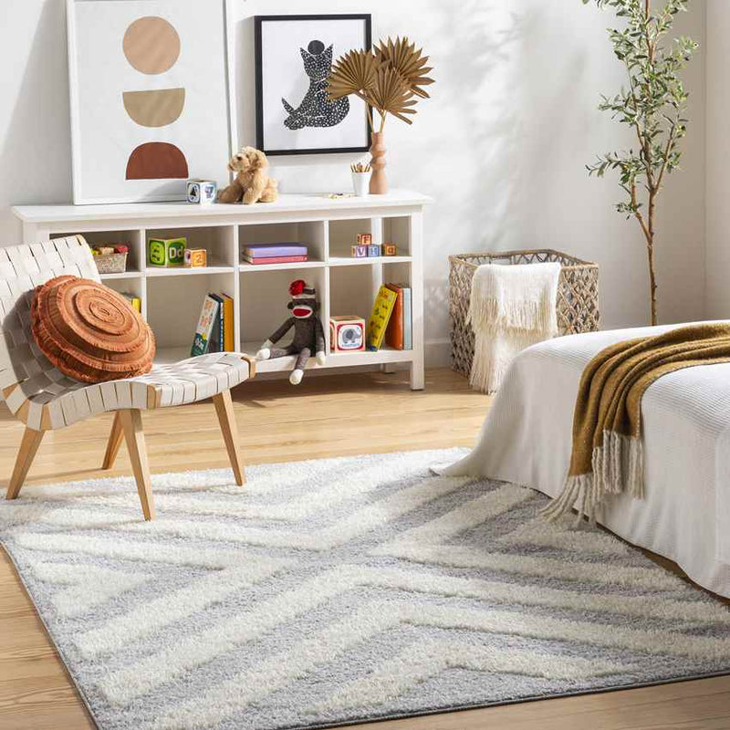 Kensington Modern Gray Area Rug