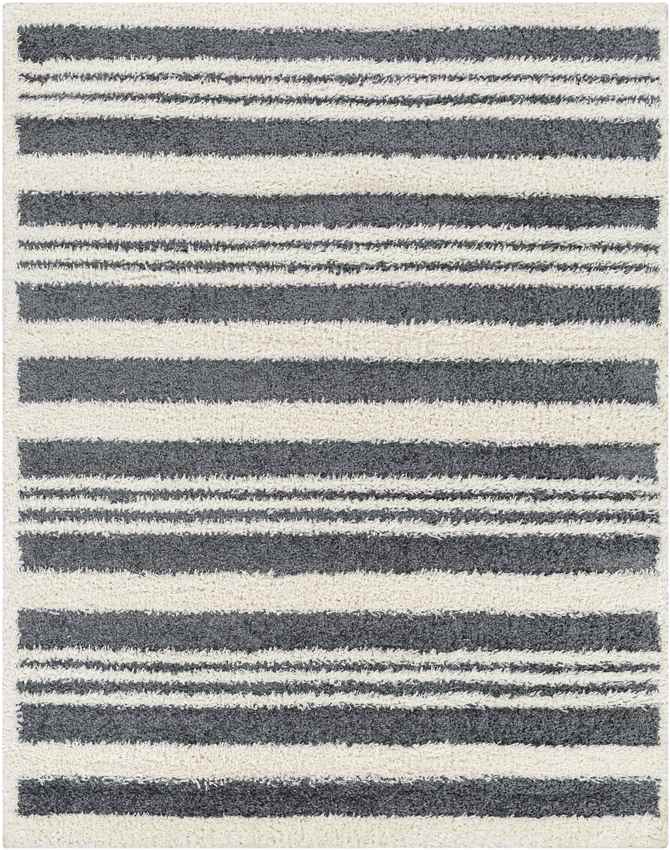 Leitchfield Modern Charcoal Area Rug