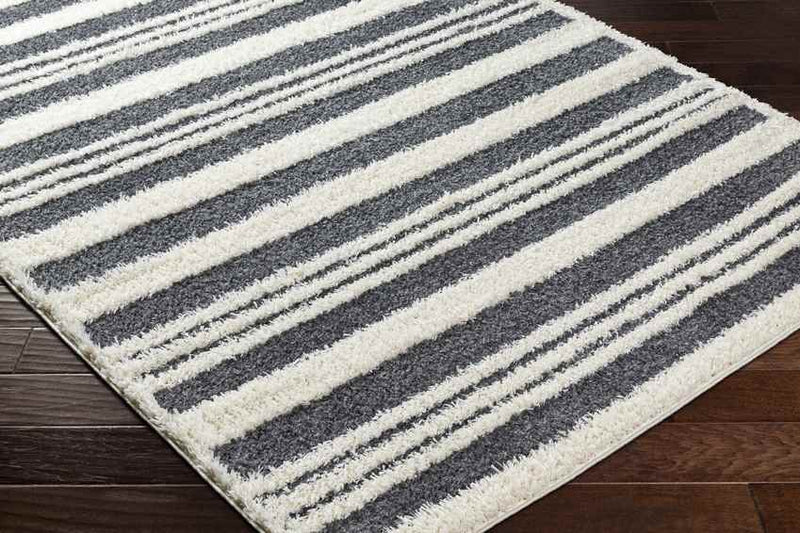 Leitchfield Modern Charcoal Area Rug