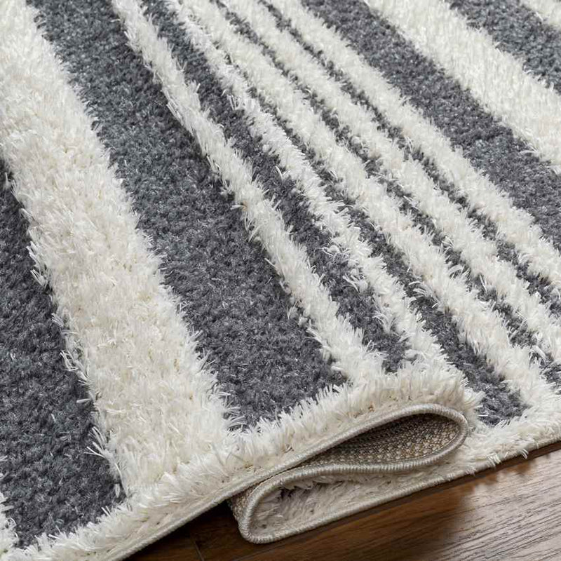 Leitchfield Modern Charcoal Area Rug