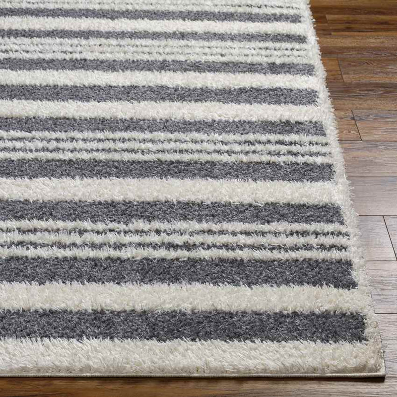 Leitchfield Modern Charcoal Area Rug