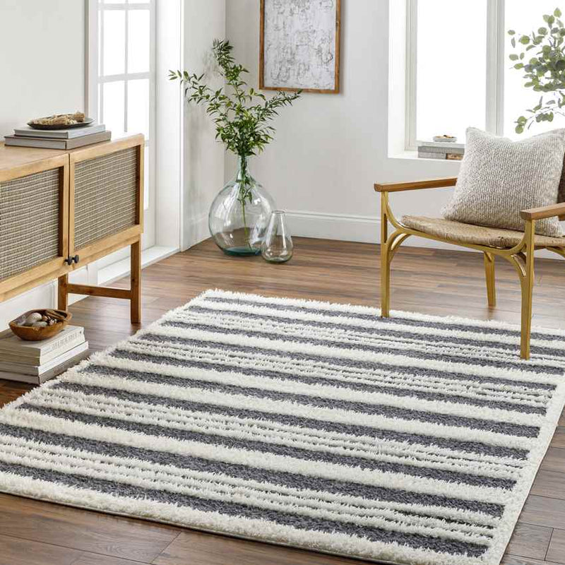 Leitchfield Modern Charcoal Area Rug