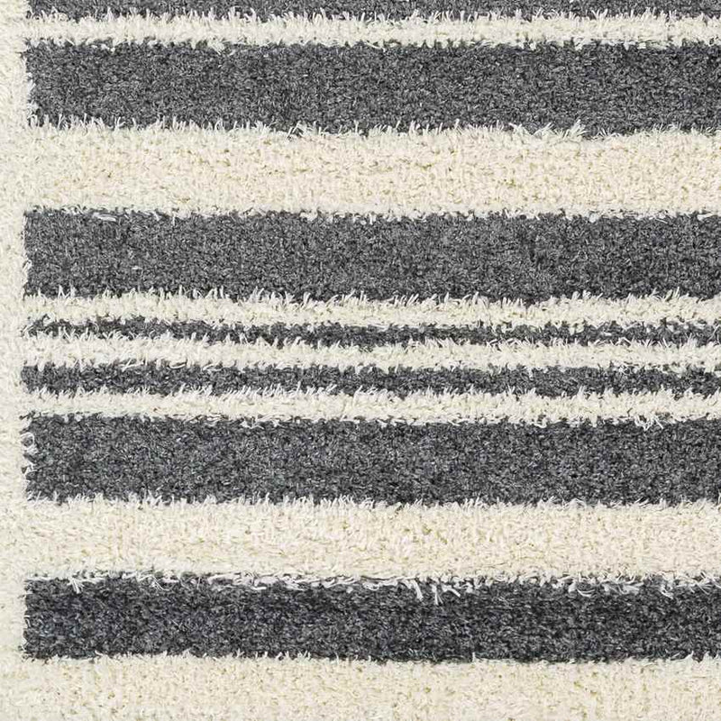 Leitchfield Modern Charcoal Area Rug