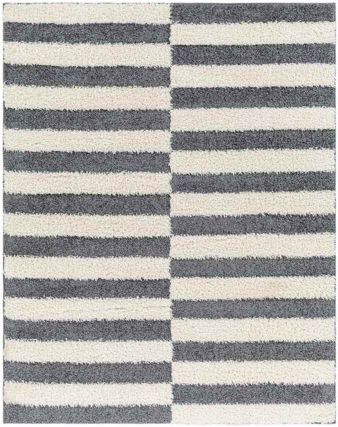 Lodomillo Modern Charcoal Area Rug