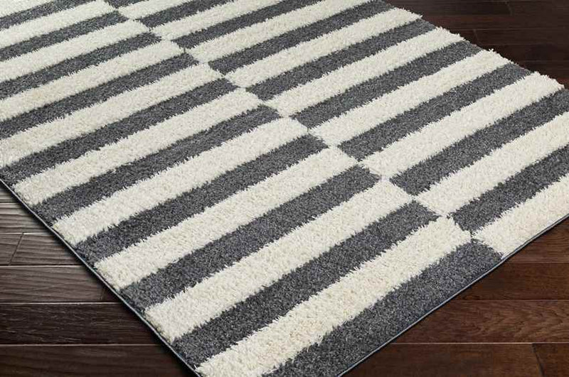 Lodomillo Modern Charcoal Area Rug