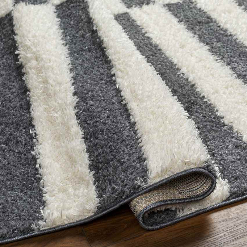 Lodomillo Modern Charcoal Area Rug