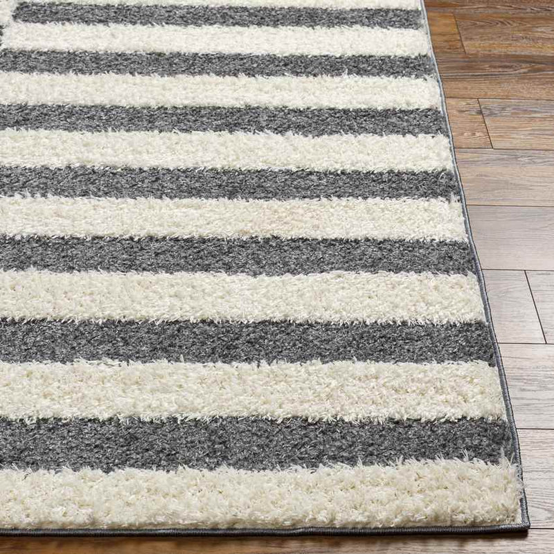 Lodomillo Modern Charcoal Area Rug