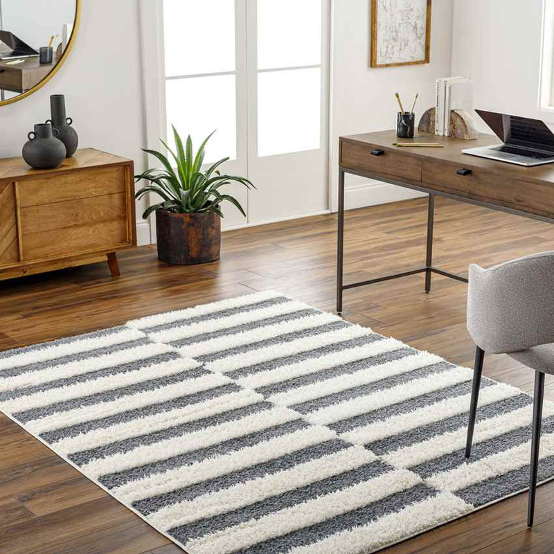 Lodomillo Modern Charcoal Area Rug