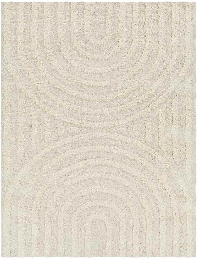 Long Island Modern Light Gray Area Rug