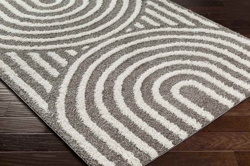 Long Island Modern Charcoal Area Rug