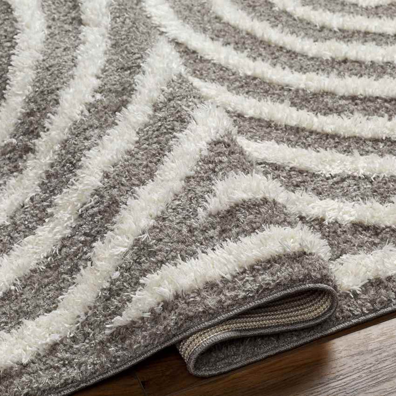 Long Island Modern Charcoal Area Rug