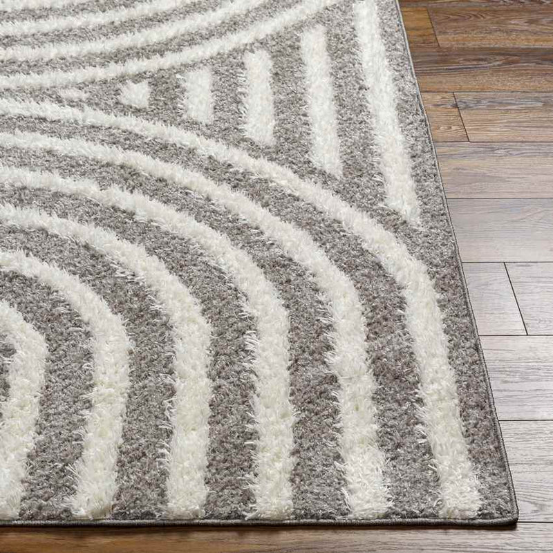 Long Island Modern Charcoal Area Rug