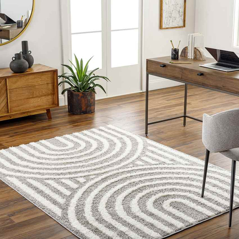 Long Island Modern Charcoal Area Rug