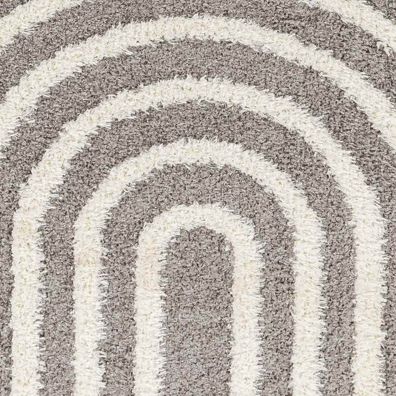 Long Island Modern Charcoal Area Rug