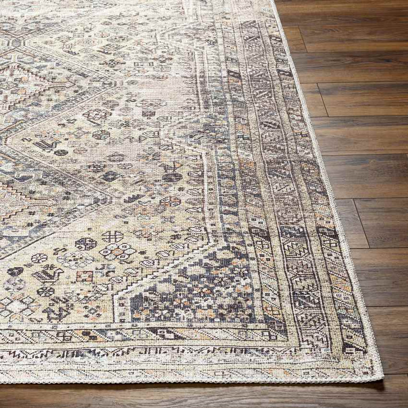 Tonganoxie Traditional Beige Washable Area Rug