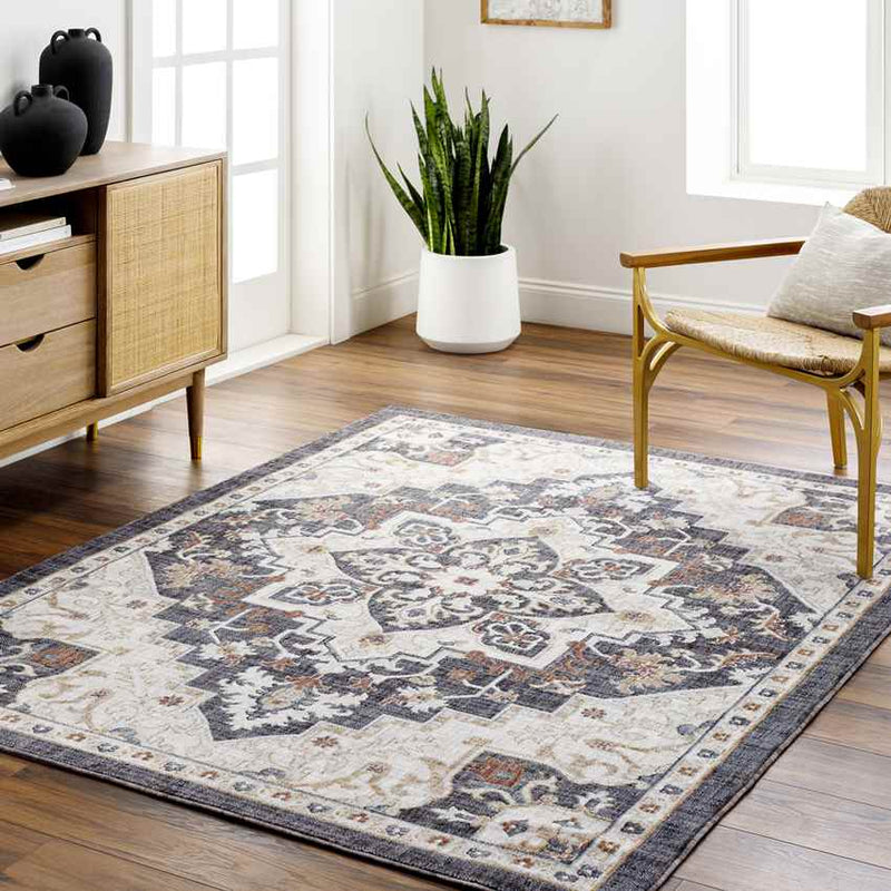 Morrowville Traditional Charcoal Area Rug