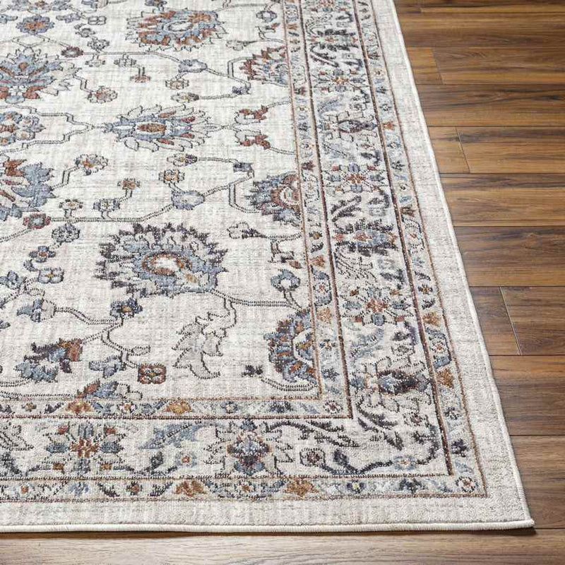 Murray Hill Traditional Beige Area Rug