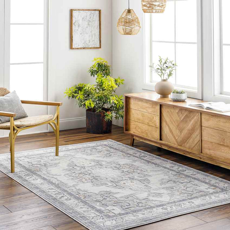 Adella Traditional Gray Area Rug