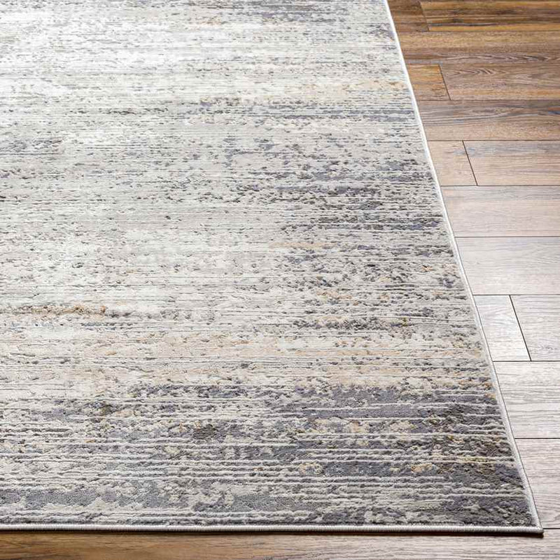 Elodia Modern Gray Area Rug