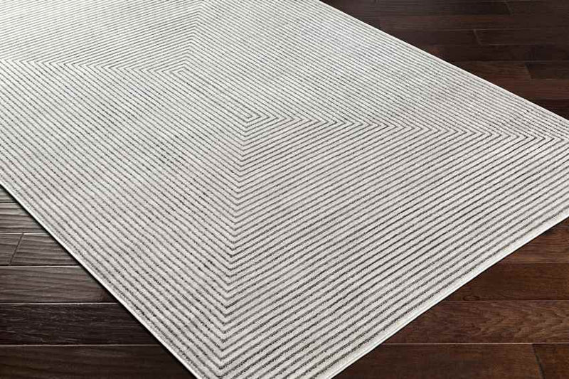 Lizzie Modern Gray Area Rug