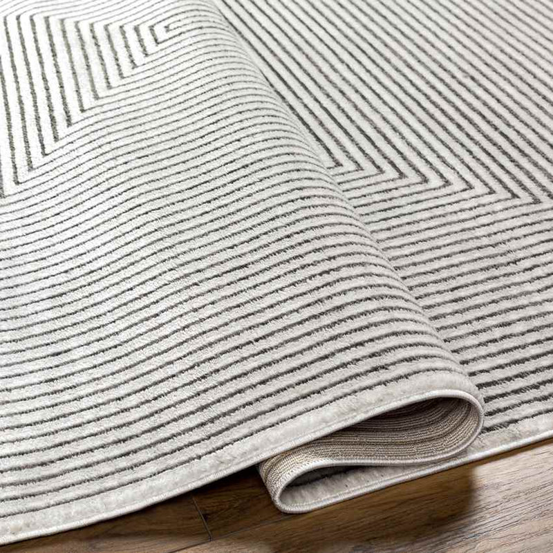 Lizzie Modern Gray Area Rug