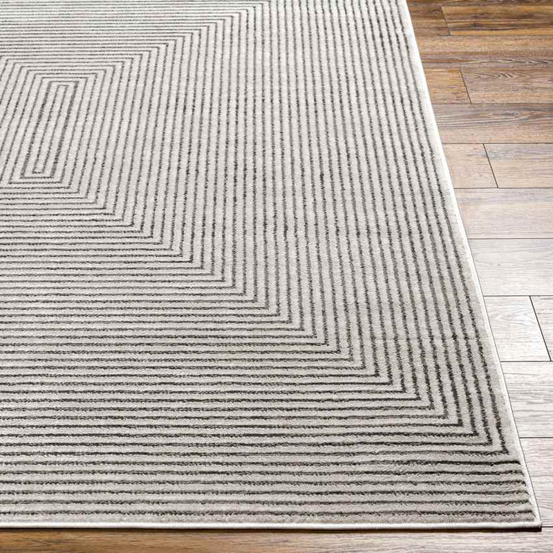 Lizzie Modern Gray Area Rug