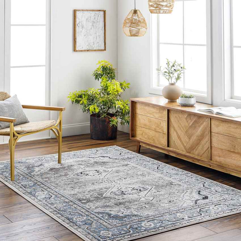 Aoife Traditional Charcoal Area Rug