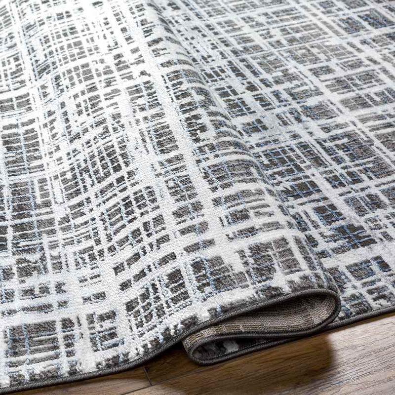 Catrena Modern Charcoal Area Rug