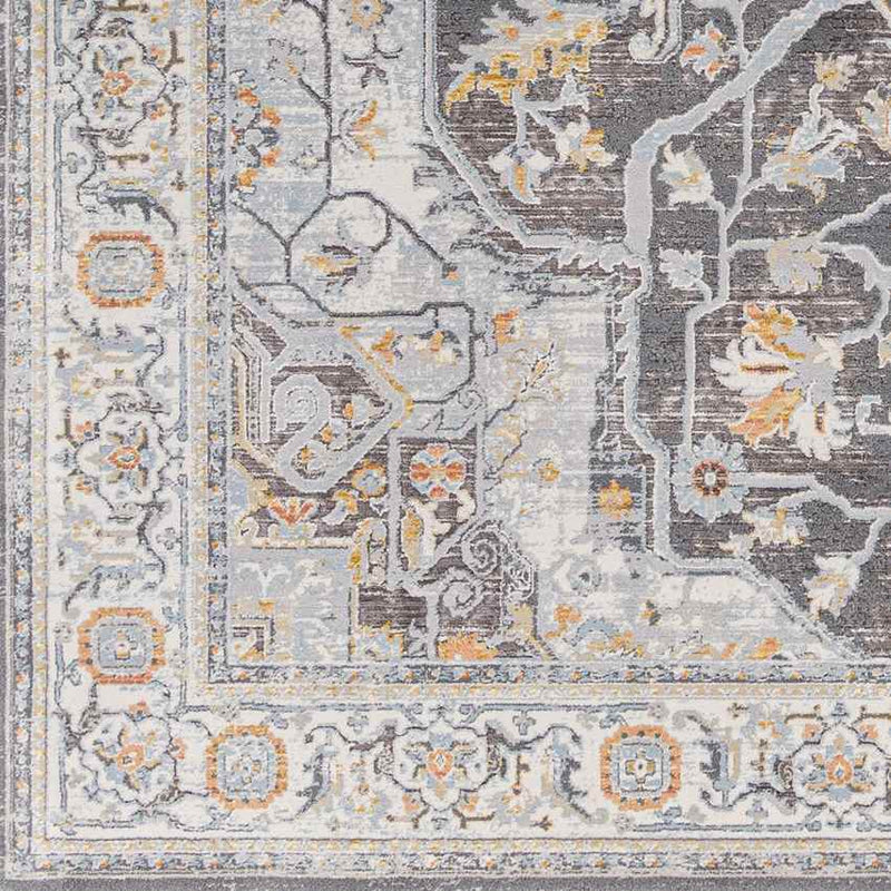 Jessica Traditional Charcoal/Gray Area Rug