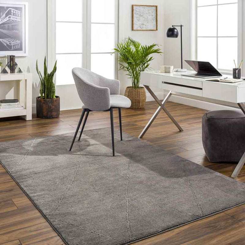 Pietro Global Charcoal Washable Area Rug