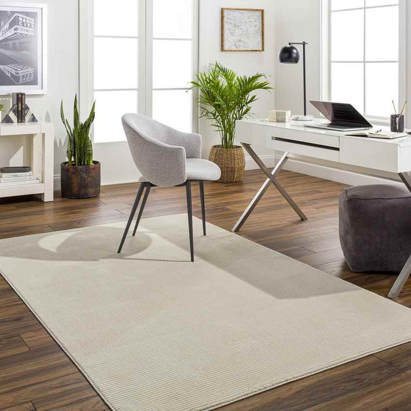 Lynnette Modern Beige Washable Area Rug