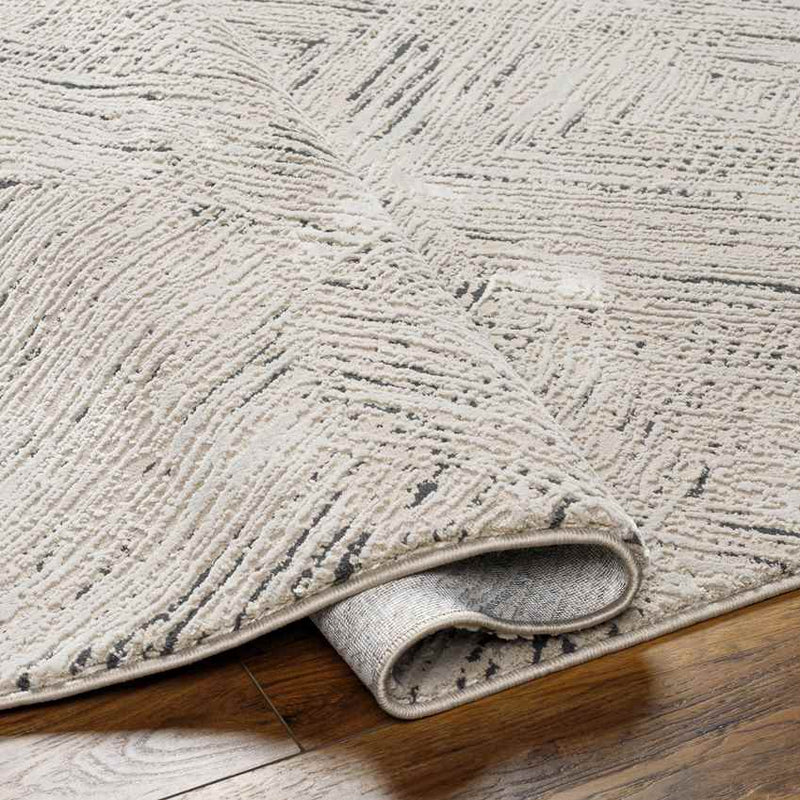 Lakina Modern Beige Washable Area Rug