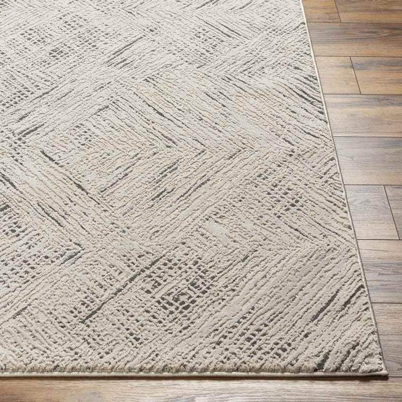 Lakina Modern Beige Washable Area Rug