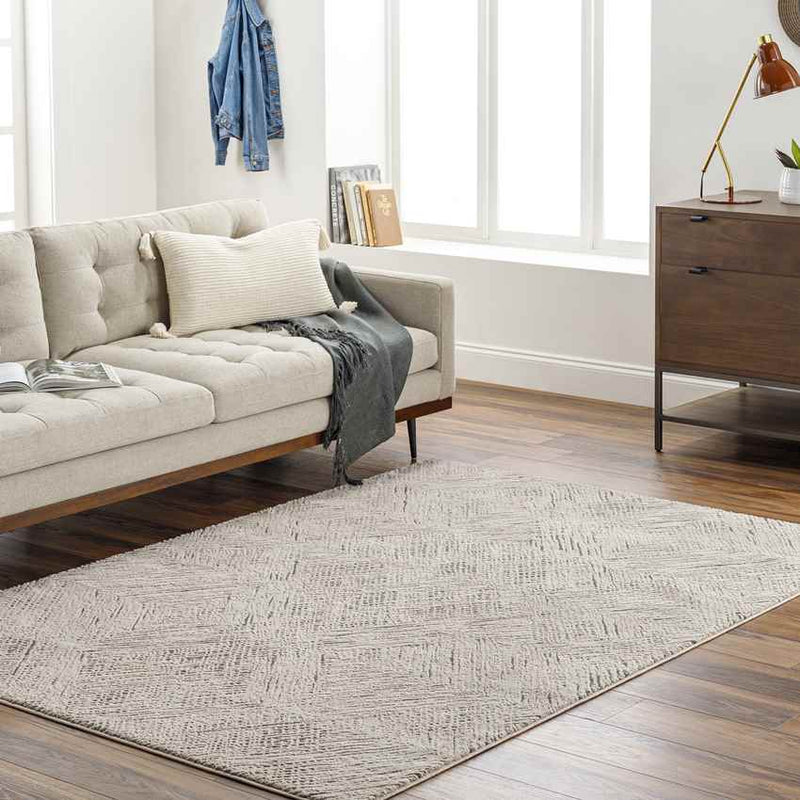 Lakina Modern Beige Washable Area Rug