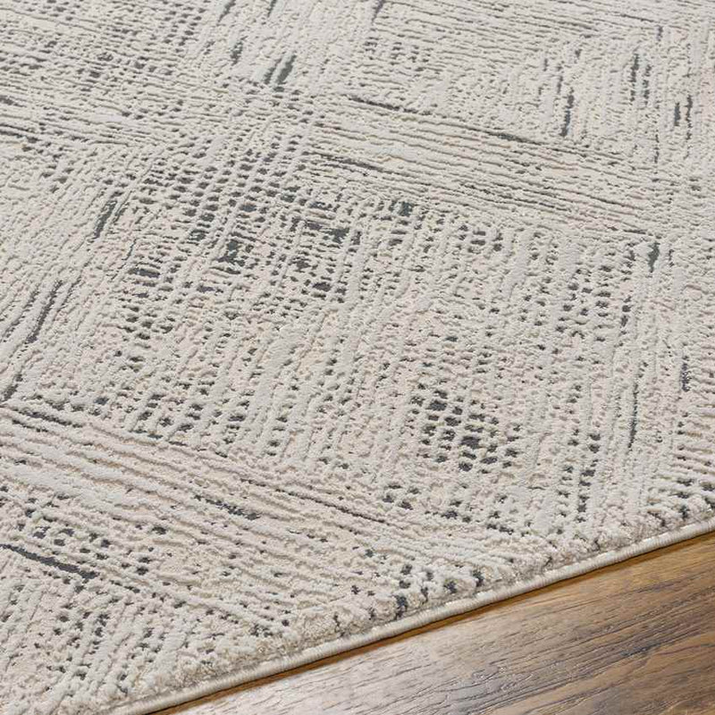 Lakina Modern Beige Washable Area Rug