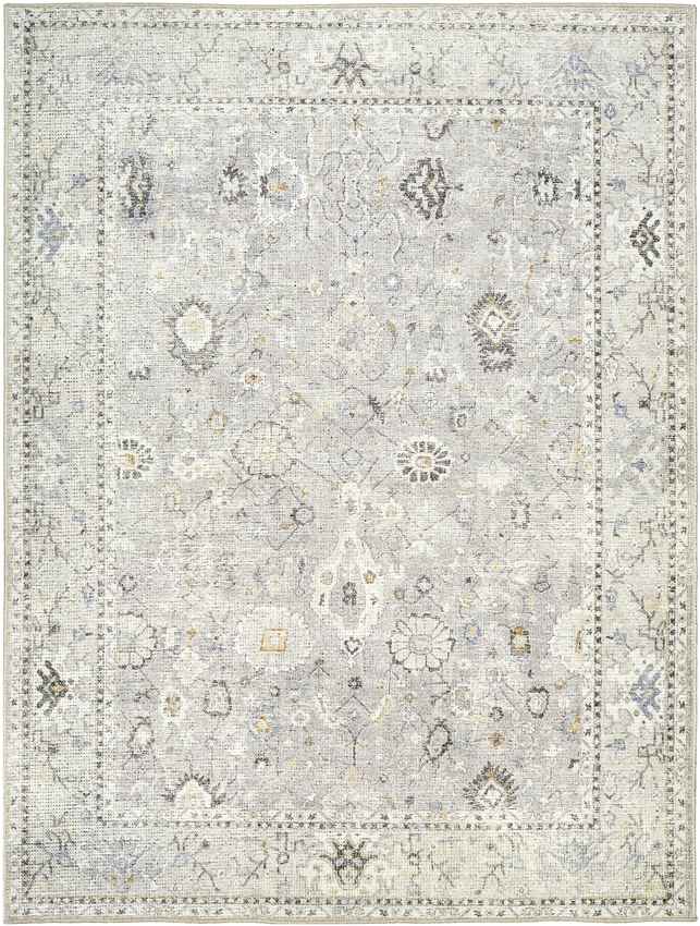 Davina Traditional Light Gray Area Rug - Becki Owens x Livabliss