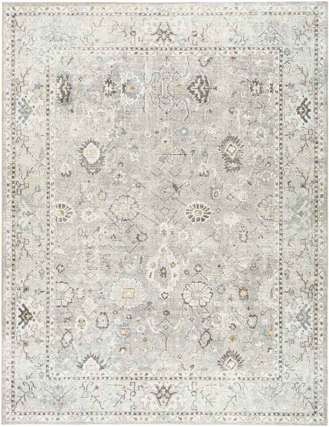 Davina Traditional Light Gray Area Rug - Becki Owens x Livabliss