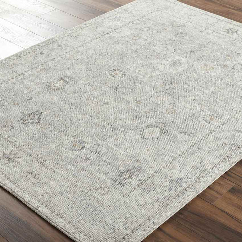 Davina Traditional Light Gray Area Rug - Becki Owens x Livabliss