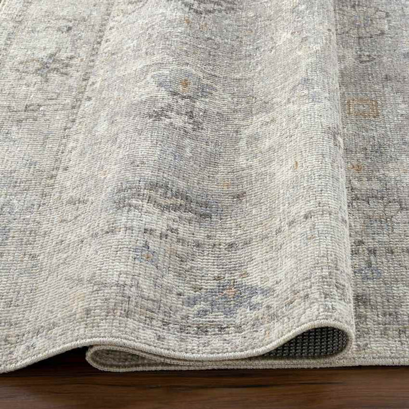 Davina Traditional Light Gray Area Rug - Becki Owens x Livabliss