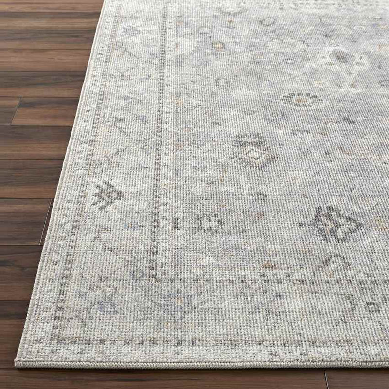 Davina Traditional Light Gray Area Rug - Becki Owens x Livabliss