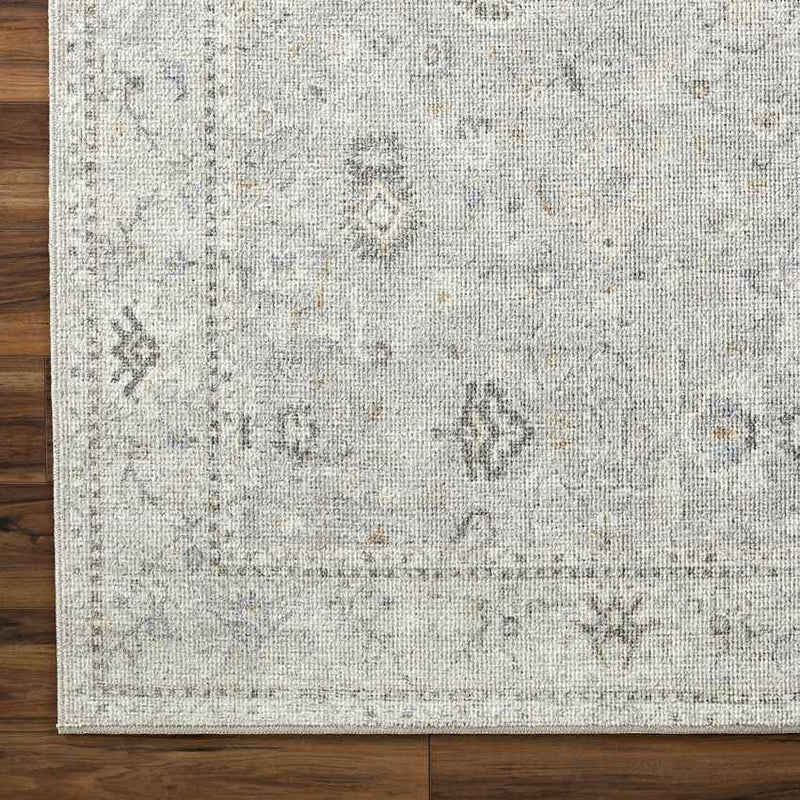 Davina Traditional Light Gray Area Rug - Becki Owens x Livabliss